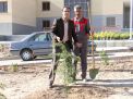 گزارش تصویری مراسم روز درخت کاری و تقدیر از نیروهای باغبانی دانشگاه